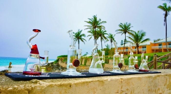 shop cannabis glass - albany,ny